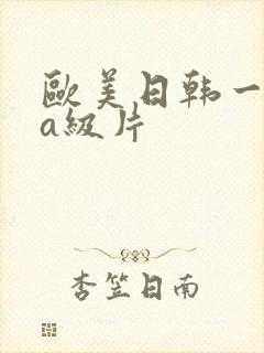 欧美日韩一级片a级片