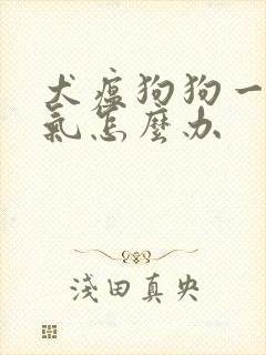 犬瘟狗狗一直喘气怎么办