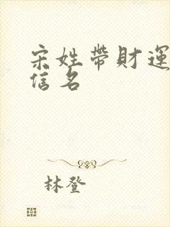 宋姓带财运的微信名