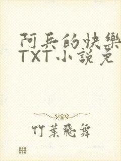 阿兵的快乐生活TXT小说免费阅读全章封面