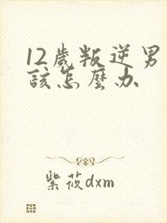 12岁叛逆男孩该怎么办封面