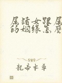 属猪女跟属龙男的姻缘怎么样