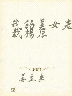 我的美女老婆总裁杨辰