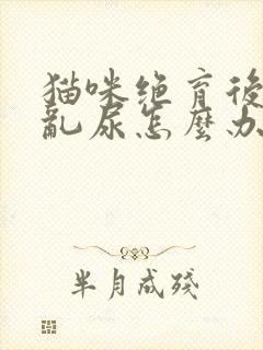 猫咪绝育后还是乱尿怎么办