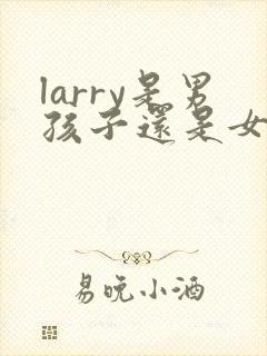 larry是男孩子还是女孩子
