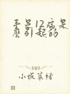 手足12病是怎么引起的