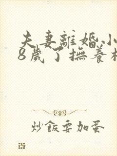 夫妻离婚小孩18岁了抚养权怎么判封面