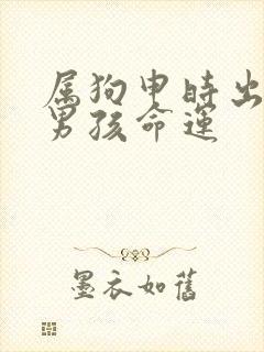 属狗申时出生的男孩命运