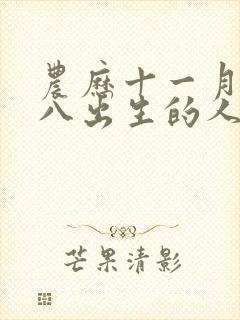 农历十一月二十八出生的人命运