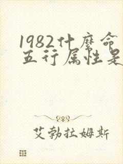 1982什么命五行属性是什么