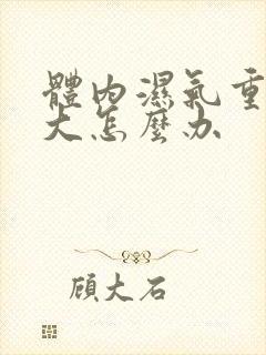 体内湿气重肚子大怎么办封面