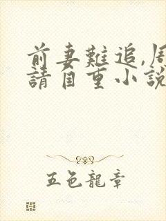 前妻难追,周少请自重小说