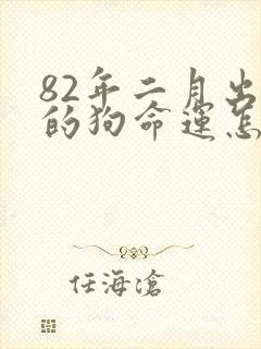 82年二月出生的狗命运怎样封面