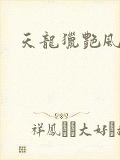 天龙猎艳风流