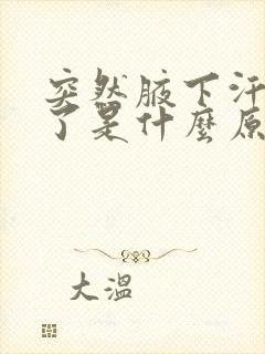 突然腋下汗味重了是什么原因封面