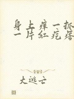 身上痒一抓就红一片红疙瘩