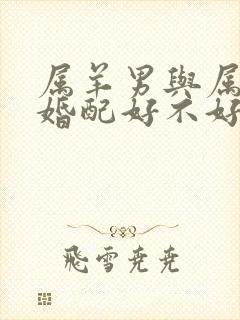 属羊男与属龙女婚配好不好