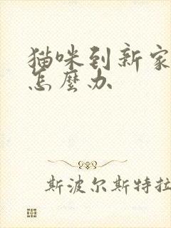 猫咪到新家乱尿怎么办