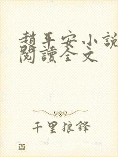 赵平安小说免费阅读全文