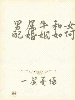 男属牛和女龙相配婚姻如何封面