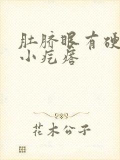 肚脐眼有硬硬的小疙瘩封面