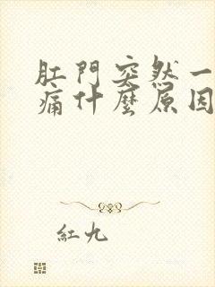 肛门突然一阵刺痛什么原因封面