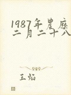 1987年农历二月二十八日生人的命运