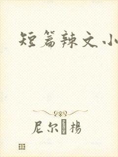 短篇辣文小说
