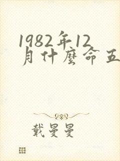 1982年12月什么命五行属性