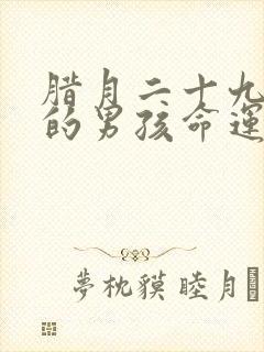 腊月二十九出生的男孩命运