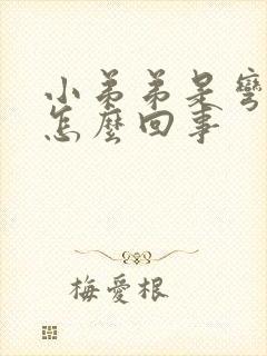 小弟弟是弯的是怎么回事封面