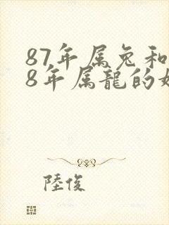 87年属兔和88年属龙的婚配好吗封面