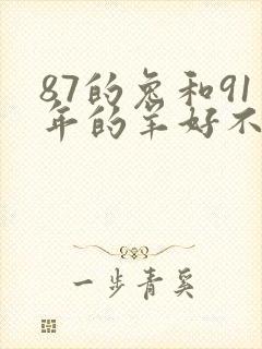 87的兔和91年的羊好不好封面