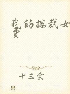 我的总裁女友免费封面