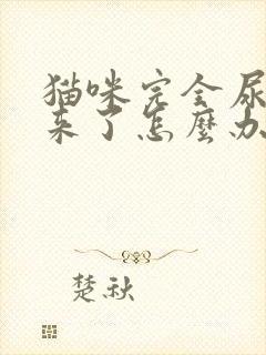 猫咪完全尿不出来了怎么办