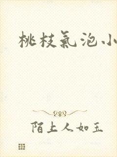桃枝气泡小说封面