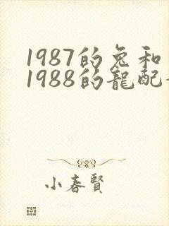 1987的兔和1988的龙配婚姻好不好