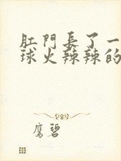 肛门长了一个肉球火辣辣的疼