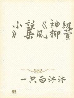 小说《神级狂婿》岳风柳萱