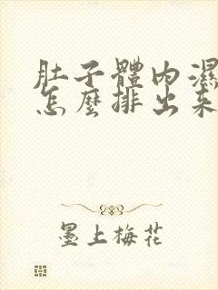 肚子体内湿气重怎么排出来