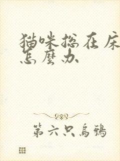 猫咪总在床上尿怎么办