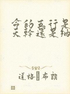 命的五行是根据天干还是纳音