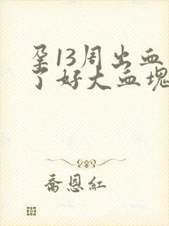 孕13周出血掉了好大血块