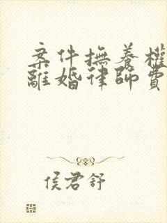 案件抚养权纠纷离婚律师费