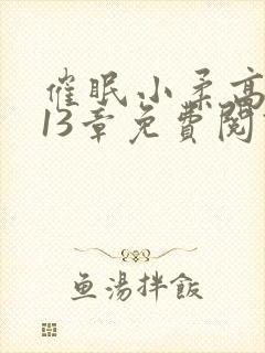 催眠小柔高达第13章免费阅读