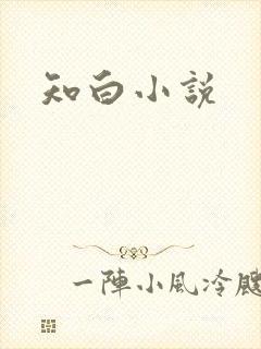 知白小说