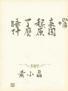 睡了起来嘴巴苦什么原因封面