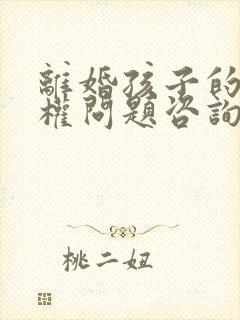 离婚孩子的抚养权问题咨询