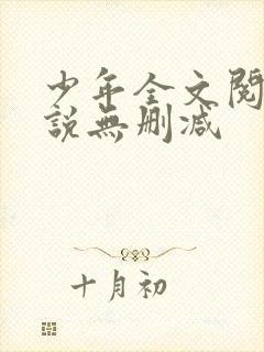 少年全文阅读小说无删减封面