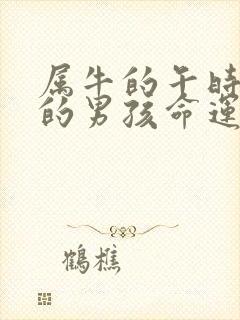 属牛的午时出生的男孩命运